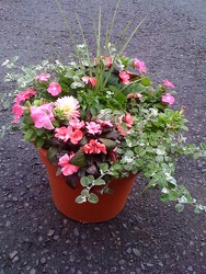 Pot of Beauty from Martinsville Florist, flower shop in Martinsville, NJ