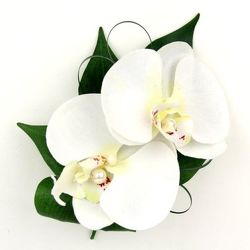 Phalaenopsis Orchid Wristlet from Martinsville Florist, flower shop in Martinsville, NJ