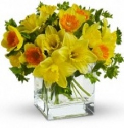 St Patrick's Day Daffodil Vase from Martinsville Florist, flower shop in Martinsville, NJ