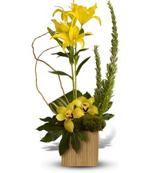 Bamboo Tropics from Martinsville Florist, flower shop in Martinsville, NJ
