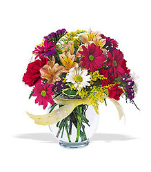 Joyful and Thrilling from Martinsville Florist, flower shop in Martinsville, NJ