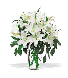 Perfect White Lilies from Martinsville Florist, flower shop in Martinsville, NJ