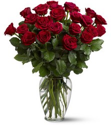 Two Dozen Red Roses from Martinsville Florist, flower shop in Martinsville, NJ