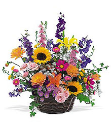 Summertime Sensation Basket from Martinsville Florist, flower shop in Martinsville, NJ
