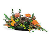 Visions of Autumn Centerpiece from Martinsville Florist, flower shop in Martinsville, NJ