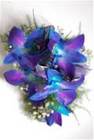 BLUE DENDRO WRISLET from Martinsville Florist, flower shop in Martinsville, NJ