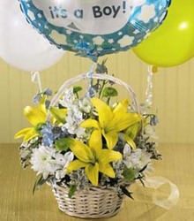 Baby Boy Basket from Martinsville Florist, flower shop in Martinsville, NJ