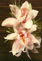 Cymbidium Orchid Wristlet from Martinsville Florist, flower shop in Martinsville, NJ