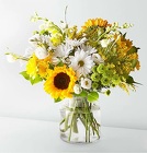 HELLO SUNSHINE from Martinsville Florist, flower shop in Martinsville, NJ