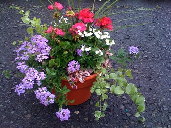 Painted Garden from Martinsville Florist, flower shop in Martinsville, NJ