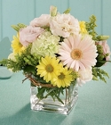 Soft and Delicate from Martinsville Florist, flower shop in Martinsville, NJ