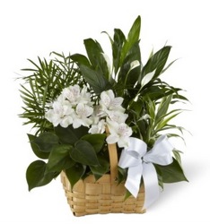 Emerald Garden Basket from Martinsville Florist, flower shop in Martinsville, NJ