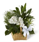 Emerald Garden Basket from Martinsville Florist, flower shop in Martinsville, NJ
