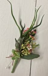 Succulent and Air plant Boutineer from Martinsville Florist, flower shop in Martinsville, NJ