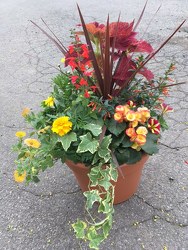Summer Blaze from Martinsville Florist, flower shop in Martinsville, NJ