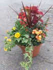 Summer Blaze from Martinsville Florist, flower shop in Martinsville, NJ
