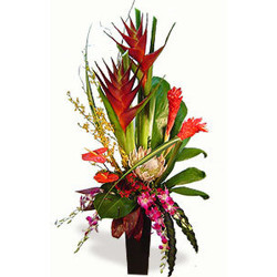 Tropical Island from Martinsville Florist, flower shop in Martinsville, NJ