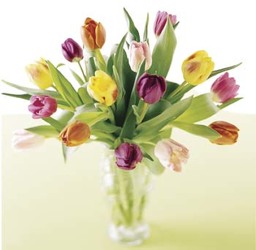 Tulips Tulips from Martinsville Florist, flower shop in Martinsville, NJ