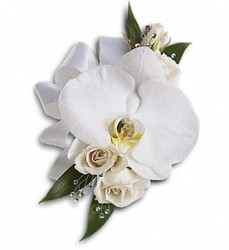 White Phalaenopsis with Baby White Roses from Martinsville Florist, flower shop in Martinsville, NJ