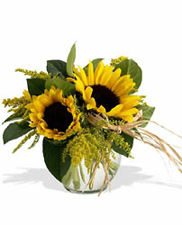 Sassy Sunflowers from Martinsville Florist, flower shop in Martinsville, NJ