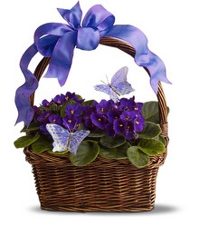 Violets and Butterflies from Martinsville Florist, flower shop in Martinsville, NJ