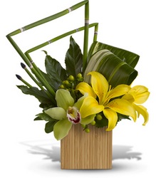 Bamboo Zen from Martinsville Florist, flower shop in Martinsville, NJ