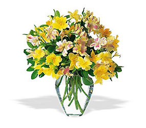 Sparkling Alstroemeria from Martinsville Florist, flower shop in Martinsville, NJ