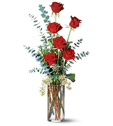Six Red Roses from Martinsville Florist, flower shop in Martinsville, NJ