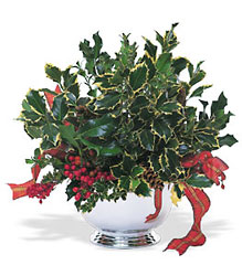 Holly Bowl from Martinsville Florist, flower shop in Martinsville, NJ