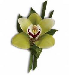 Mini Cymbidium Orchid Boutineer from Martinsville Florist, flower shop in Martinsville, NJ